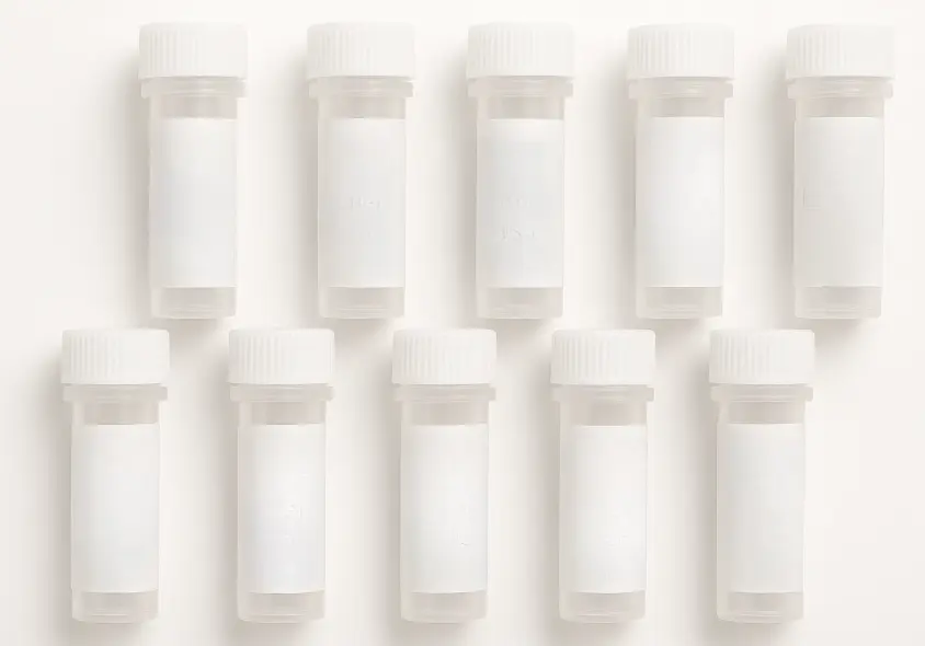 GRN 293T Cell Transient Overexpression Lysate(Denatured)