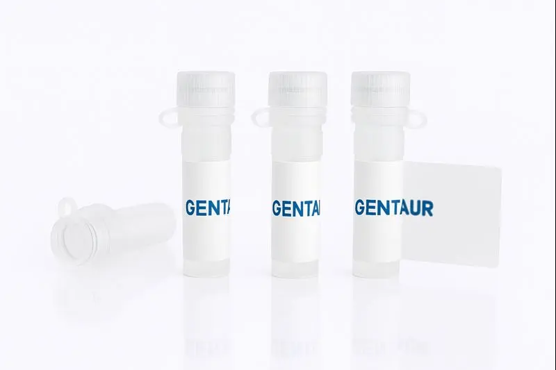 CDK9-CCNK Heterodimer, Human (sf9, GST, FLAG)